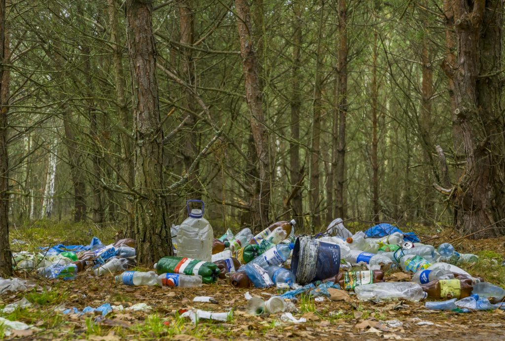 Posprzątali las i… narobili sobie kłopotów