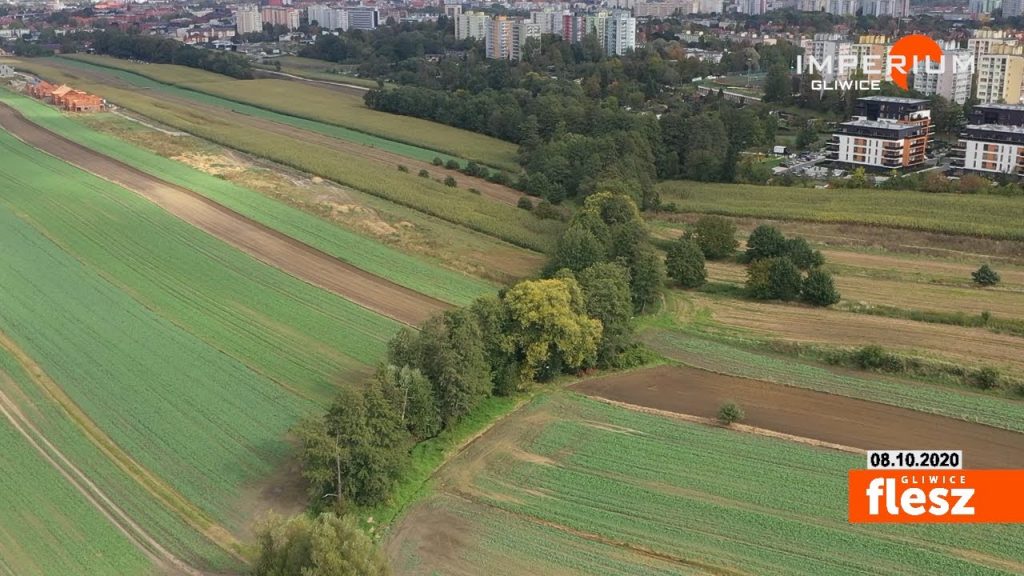 Miasto ma plany na Wilcze Doły. W przyszłym tygodniu udostępnią je mieszkańcom