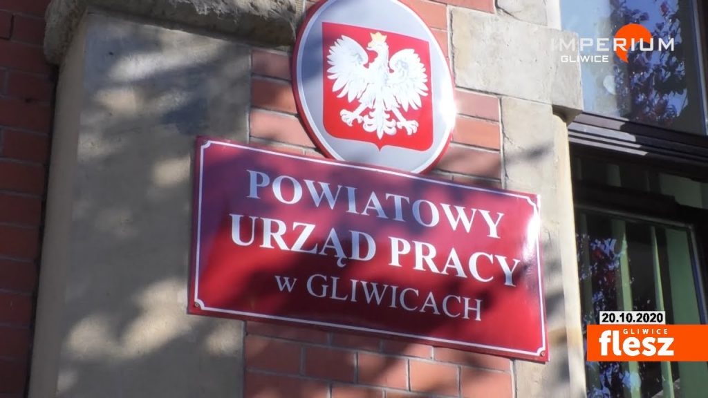 Znajdź pracę nie wychodząc z domu. Ruszyły Dni Otwarte Poradnictwa Zawodowego