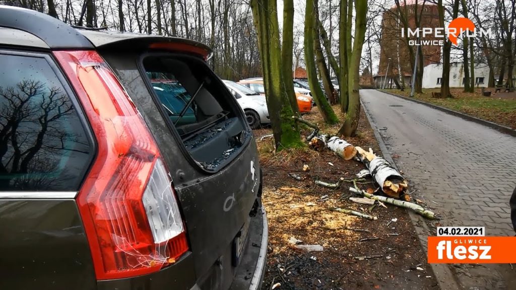 Jedna brzoza uszkodziła siedem samochodów. Porwany został też namiot mobilnego punktu pobrań, czyli skutki porannych wichur.