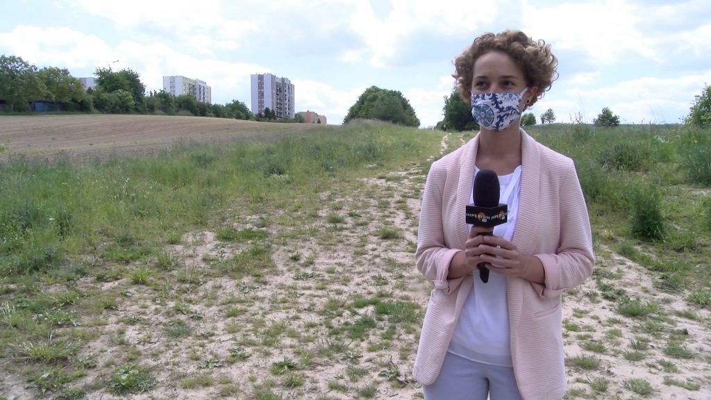 Protest przeciwko protestującym. Nie wszystkim podoba się inicjatywa Ratujmy Wilcze Doły