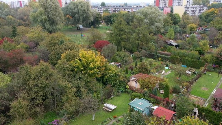 Władze miasta chcą odebrać mieszkańcom Trynku ogródki działkowe
