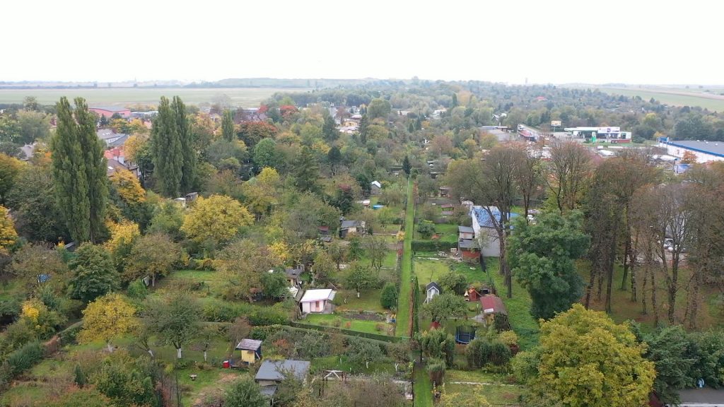 Mieszkańcy Trynku bronią swoich ogrodów działkowych [VIDEO]