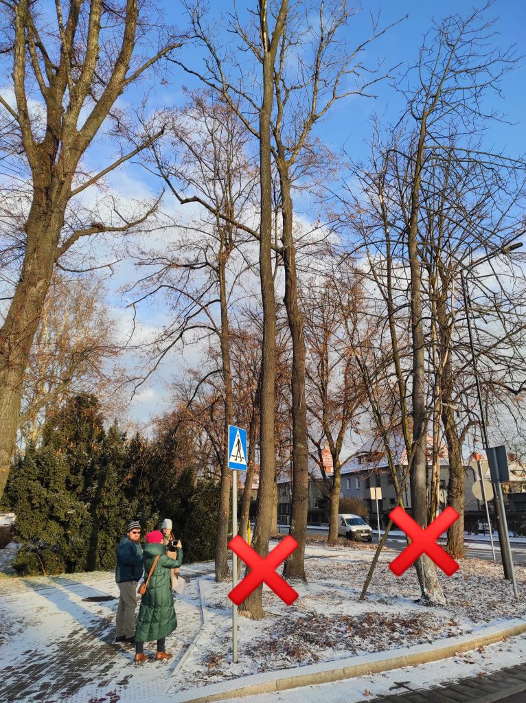 Rada Wójtowej Wsi spotkała się w środę z zarządem dróg miejskich. Rozmawiano o planowanej wycince drzew na terenie dzielnicy