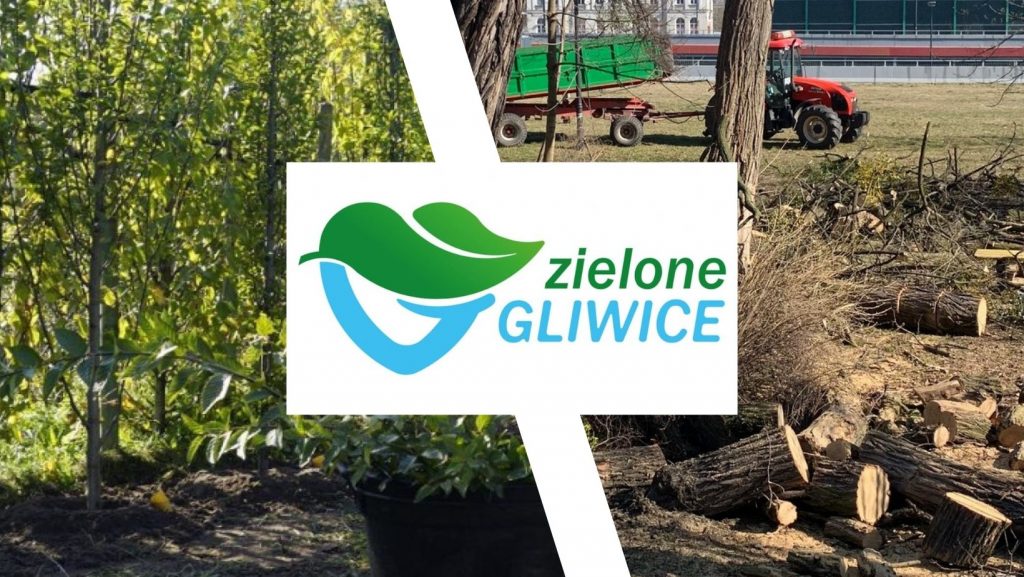 Zielone Gliwice, czy gliwicki beton?