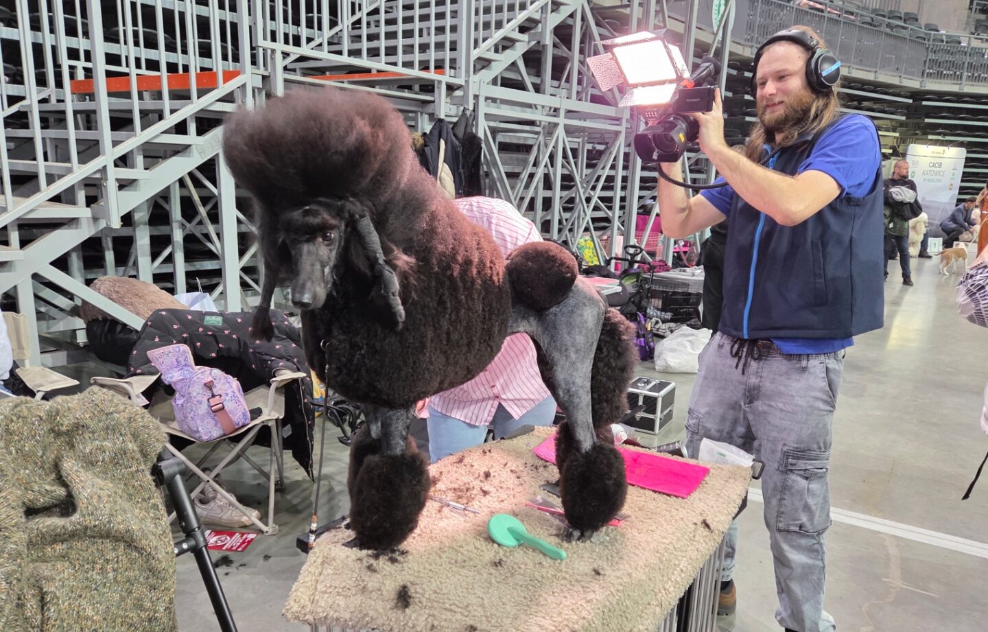 Wielka Wystawa Psów Rasowych w PreZero Arenie Gliwice